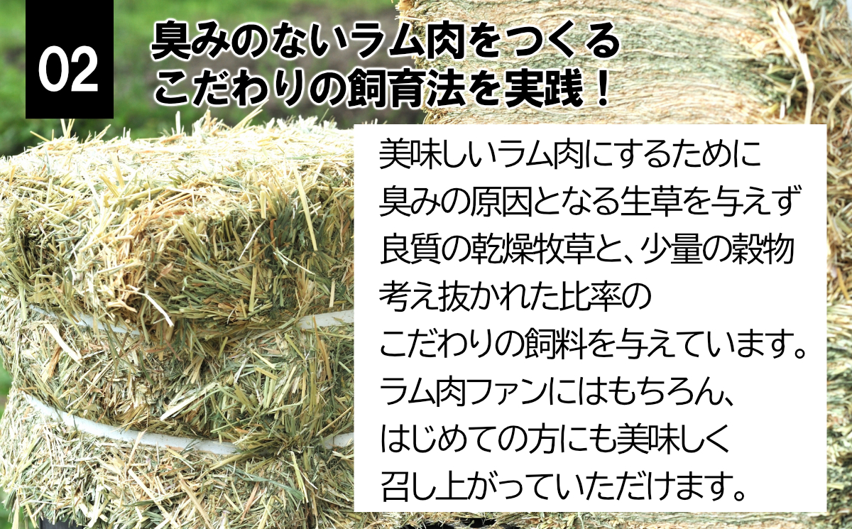 【先行予約】大月のびのび放牧羊【ステーキ＆焼肉用ラム肉】400g(肩ロース200g モモ200g)