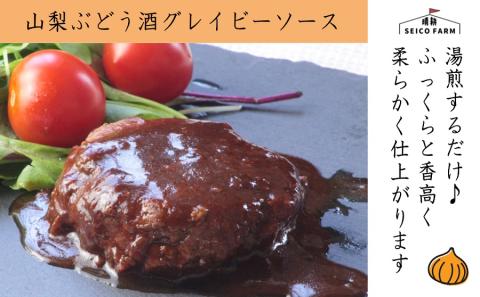 2種のソース「お肉屋さんのふっくら大月玉ねぎハンバーグ」8個セット