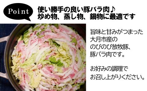 【希少豚】大月のびのび放牧豚【バラ肉スライス】900g (300g×3)