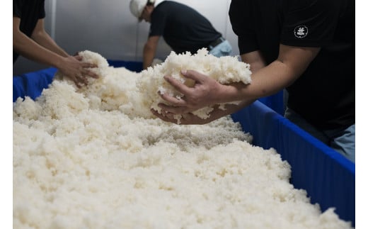 【ふるさと納税】【山梨の地酒】蔵元直送「純米大吟醸 笹一 720ml×2本セット」