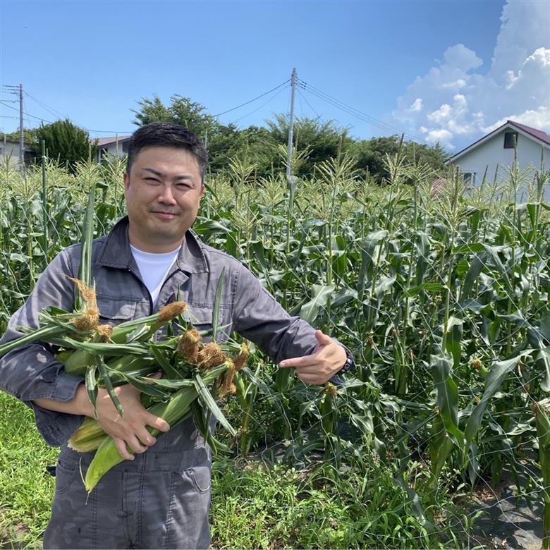 【2026年収穫分先行予約】【訳あり】富士山 恵味ゴールド トウモロコシ　10～15本