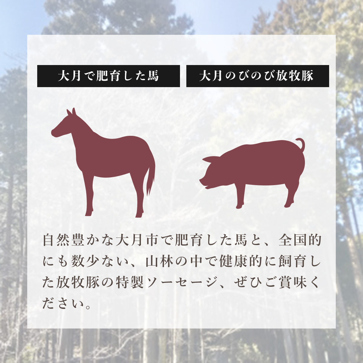 大月市で肥育した馬と放牧豚で作った馬豚ソーセージ【馬肉50%：豚肉50%】