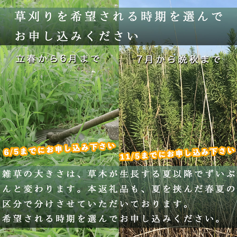 山梨県大月市 空き家・管理地の草刈り代行 春季(3-6月) 4時間 2名 100坪まで 対象エリア大月市 地域密着 くさかり 草引き 除草 草刈