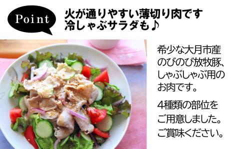 大月のびのび放牧豚【しゃぶしゃぶ食べ比べセット1200g】ロース・肩ロース・バラ・モモ各300g