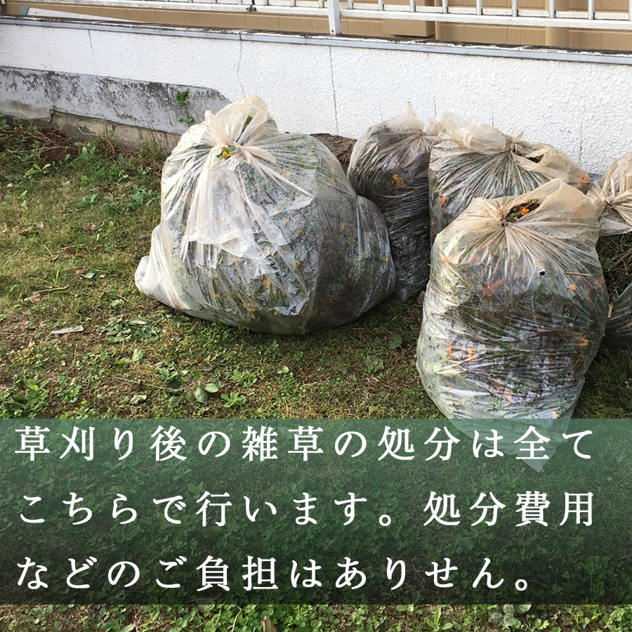 山梨県大月市 空き家・管理地の草刈り代行 春季(3-6月) 4時間 2名 100坪まで 対象エリア大月市 地域密着 くさかり 草引き 除草 草刈
