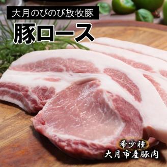 【希少豚】大月のびのび放牧豚【カツ・ステーキ用ロース】600g以上 (約150g×4)