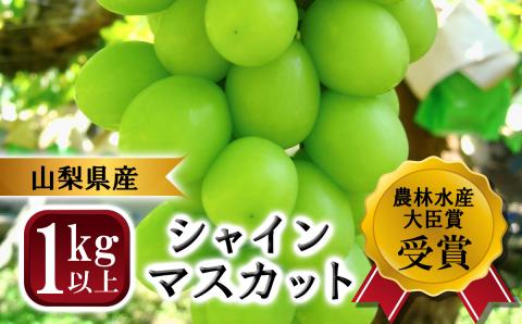 ふるさと納税】【農林水産大臣賞受賞】山梨県産シャインマスカット 2房 1kg以上 ※2024年9月から発送: 大月市ANAのふるさと納税