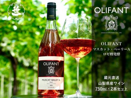 【山梨ワイン】蔵元直送「OLIFANTマスカット・ベーリーAロゼ樽発酵750ml×2本セット」