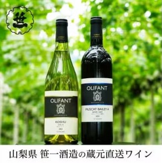 【蔵元直送】笹一酒造のOLIFANT(オリファン)ワイン＜甲州・MBA＞2本セット