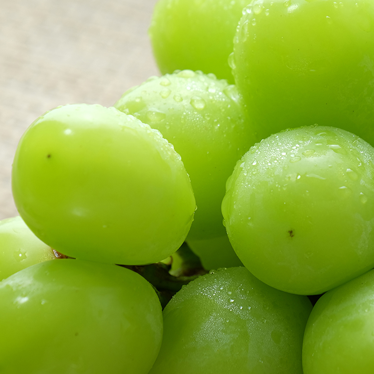 【2026年収穫分先行予約】果実の楽園まきぱらの特選シャインマスカット(種なし)約1.3kg(2房)