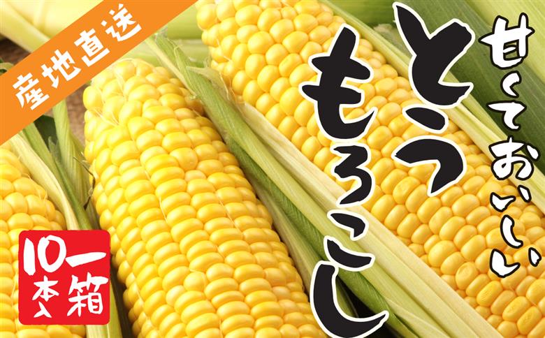 【先行予約】2023年度産ゴールドラッシュ　1箱(10~12本)