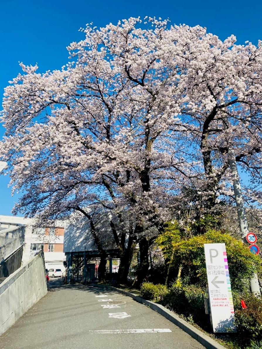 【先行予約】令和8年2月16～令和8年3月23日　胸部低線量CT検査 1名様（日帰り）大月市立中央病院