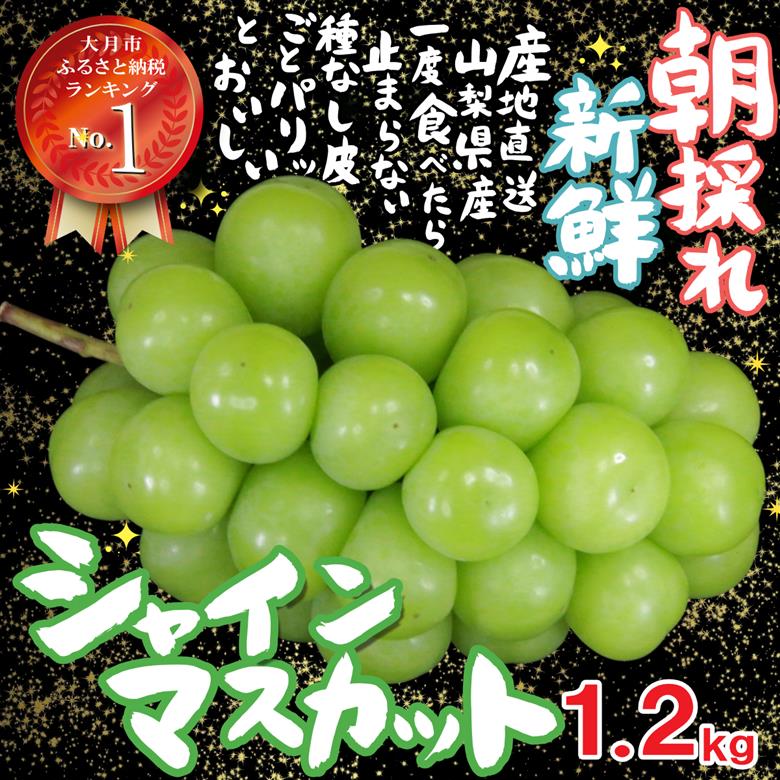 【2026年収穫分先行予約】鮮度抜群！産地直送シャインマスカット房(約1.2kg）