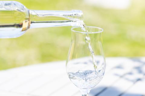 ワイン (コンチネンタル日本ワイン) シャインマスカット 500ml [ サン.フーズ 山梨県 韮崎市 20743134 ] 酒 お酒 白ワイン 果実酒 ぶどう マスカット ブドウ 葡萄 白 甘口 フードロス 支援 農家支援 飲み物 飲料 山梨 国産 お祝い 誕生日 パーティー