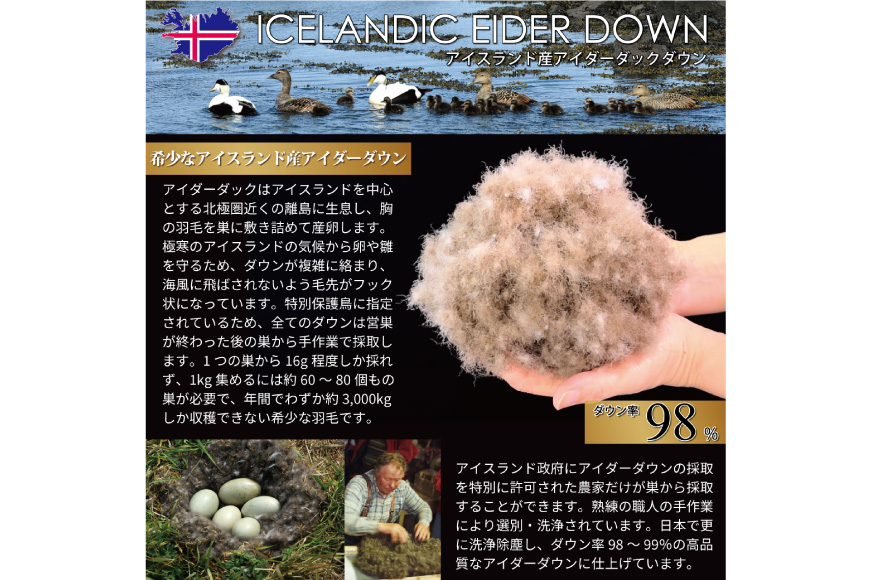 【夏用】アイダーダウン 羽毛布団 肌掛け ダブル アイダーダックダウン98％ アイスランド産 100x140番手サテン 日本製 綿100％ [川村羽毛 山梨県 韮崎市 20743043] 布団 ふとん 羽毛 羽毛ふとん 肌掛け ダウンケット 寝具