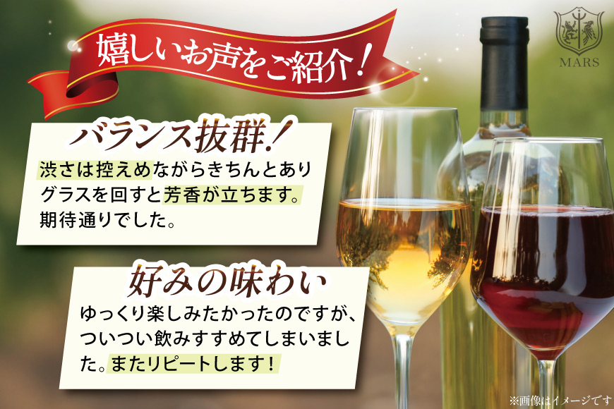 ワイン 赤 おまかせ マルスワイン2本セット ～秋の陣～ [本坊酒造 マルス穂坂ワイナリー 山梨県 韮崎市 20743115] 赤ワイン 秋のワイン 熟成 ルージュ シャトーマルス