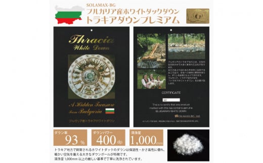 【春秋用】中厚 合掛け 羽毛布団 シングル ホワイトダックダウン 93％ ブルガリア産 0.8kg 60番手サテン (レオーネ 青 ) [川村羽毛 山梨県 韮崎市 20741797] 布団 日本製