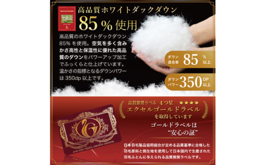 【冬用】洗える 羽毛布団 掛け布団 セミダブル 本掛け 冬 ホワイトダックダウン 85％ 1.4kg 350dp (無地 ブラウン) 布団 4つ星 エクセルゴールドラベル ダウンケット 抗菌 防臭 羽毛 ふとん フトン 日本製 寝具 日用品 コインランドリー 防汚加工 柔軟加工 防ダニ [川村羽毛 山梨県 韮崎市 20742904]
