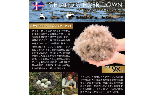 【冬用】アイダーダウン 羽毛布団 本掛け シングル アイダーダックダウン98％ アイスランド産 100x140番手サテン 日本製 綿100％ [川村羽毛 山梨県 韮崎市 20743051] 布団 ふとん 羽毛ふとん 寝具