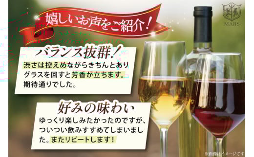 ワイン 赤 おまかせ マルスワイン2本セット ～秋の陣～ [本坊酒造 マルス穂坂ワイナリー 山梨県 韮崎市 20743115] 赤ワイン 秋のワイン 熟成 ルージュ シャトーマルス