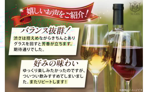 ワイン 白 スパークリング おまかせ マルスワイン2本セット ～夏の陣～ [本坊酒造 マルス穂坂ワイナリー 山梨県 韮崎市 20743116] 白ワイン スパークリングワイン 夏のワイン シャトーマルス