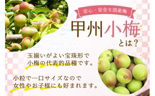【やわらか】信玄の薬膳小梅干 200g×2 [山梨農産食品 山梨県 韮崎市 20743181] 梅干し 梅干 うめぼし 梅 小粒 小梅 国産