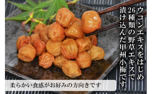 【やわらか】信玄の薬膳小梅干 600g×1 [山梨農産食品 山梨県 韮崎市 20743182] 梅干し 梅干 うめぼし 梅 小粒 小梅 国産