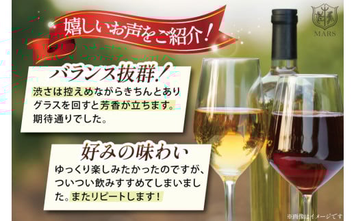 定期便 ワイン ソムリエ おまかせ 2本セット×4回 [マルス穂坂ワイナリー 山梨県 韮崎市 20743306]