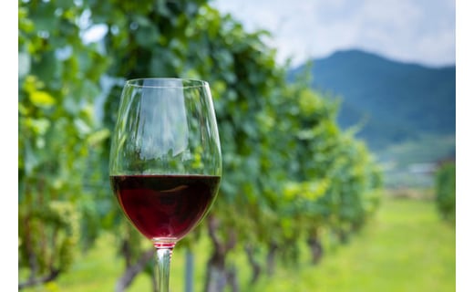 定期便 ワイン セット 穂坂マスカット・ベーリーＡ シングル・ヴィンヤード 750ml×2種×6回 酒 ワイン 赤ワイン / シャトー・メルシャン 勝沼ワイナリー / 山梨県 韮崎市 [20743313]