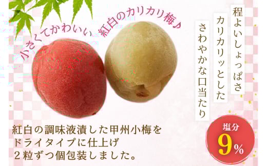 【やばいだろ】粋な小梅 30粒×15 計450粒 [山梨農産食品 山梨県 韮崎市 20743417] 梅干し 梅干 うめぼし 梅 小粒 小梅 カリカリ梅 国産 個包装