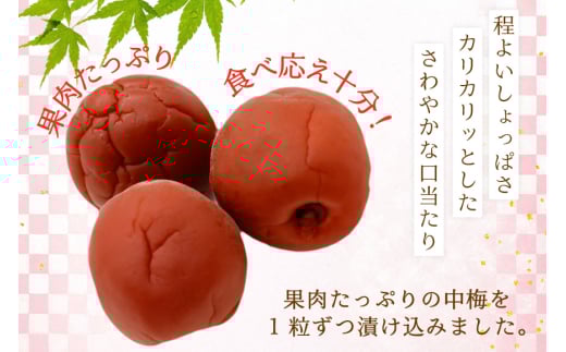 梅干し 梅恋しポット 30個入 [山梨農産食品 山梨県 韮崎市 20743520] 梅干 うめぼし 個包装 梅 漬物 つけもの おやつ おつまみ 熱中症予防