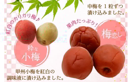 梅干し 粋な小梅ポット 60個入 & 梅恋しポット 30個入 [山梨農産食品 山梨県 韮崎市 20743522] 梅干 うめぼし 個包装 食べ比べ 梅 漬物 つけもの おやつ  おつまみ 熱中症予防