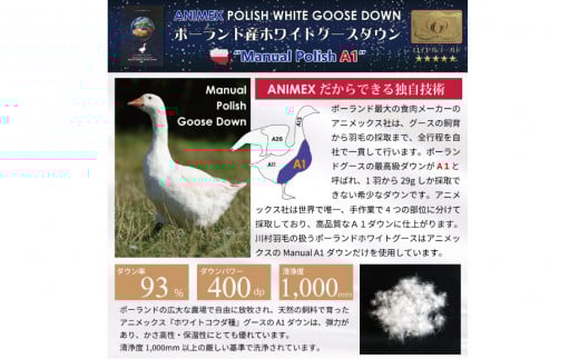 洗える 2枚合わせ 羽毛布団 【 シングル 】 (グレー)  抗菌防臭 ポーランド産 ホワイトグース 93％ [川村羽毛 山梨県 韮崎市 20743594] 布団 羽毛 肌掛け 合掛け オールシーズン 夏用 冬用 グース