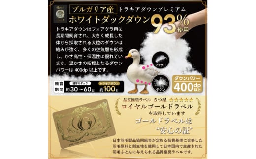 【春夏用】洗える！ 羽毛肌掛け布団 セミダブル ホワイトダック 93% ブラウン ダウンケット [川村羽毛 山梨県 韮崎市 20743747] 羽毛布団 布団 ふとん 羽毛 肌掛け 掛け布団 寝具 日本製 国産 抗菌防臭 無地 コインランドリー