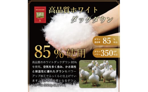 【春夏用】洗える 羽毛 肌掛け布団 ダブル ホワイトダックダウン 85% 0.6kg (無地 ネイビー) [川村羽毛 山梨県 韮崎市 20745030] 掛け布団 布団 羽毛布団 ダウンケット ふとん 肌掛け ダウンケット 寝具 コインランドリー