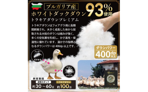 【春夏用】洗える！ 羽毛肌掛け布団 ダブル ホワイトダック 93% ブラウン ダウンケット [川村羽毛 山梨県 韮崎市 20745032] 羽毛布団 布団 ふとん 羽毛 肌掛け 掛け布団 寝具 日本製 国産 抗菌防臭 無地 コインランドリー