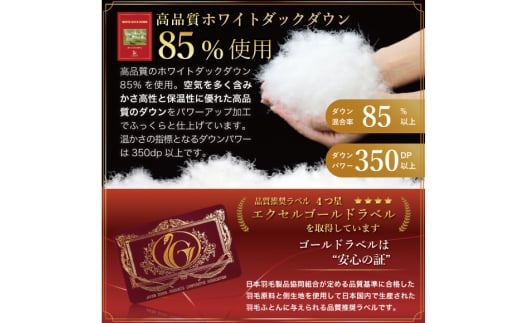 【春夏用】洗える！ 羽毛 肌掛け布団 セミダブル ホワイトダックダウン 85%  (無地 グレー) 羽毛布団 布団 ふとん 羽毛 肌掛け 掛け布団 寝具 夏用 日本製 国産 抗菌防臭 無地 コインランドリー [川村羽毛 山梨県 韮崎市 20745099]