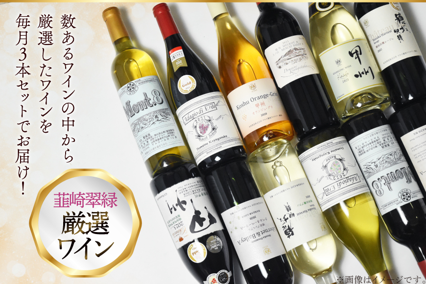 【3回定期便】NS-0012 韮崎ワイナリー赤白ワイン 750ml 3本 3ヶ月 計9本 [韮崎翠緑 山梨県 韮崎市 20745304] ワイン 山梨 ワインセット お酒 酒 飲み比べ 飲み比べセット 詰め合わせ 赤 白 定期便