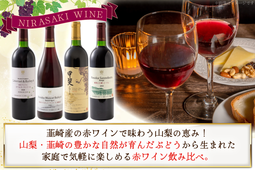 赤ワイン 4本 飲み比べセット　750ml×4本 [株式会社まあめいく 山梨県 韮崎市 20745328] ワイン Wine わいん 赤 飲み比べセット お酒 酒 山梨ワイン セット
