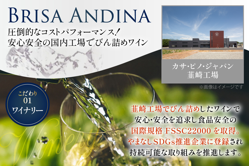 ワイン 白 ブリサ・アンディーナ ソーヴィニヨンブラン 500ml 12本 セット [カサ・ピノ・ジャパン 山梨県 韮崎市 20745345] ワインセット 山梨 酒 お酒 白ワイン アルコール ぶどう 果実酒