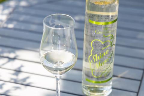 ワイン (コンチネンタル日本ワイン) シャインマスカット 500ml [ サン.フーズ 山梨県 韮崎市 20743134 ] 酒 お酒 白ワイン 果実酒 ぶどう マスカット ブドウ 葡萄 白 甘口 フードロス 支援 農家支援 飲み物 飲料 山梨 国産 お祝い 誕生日 パーティー