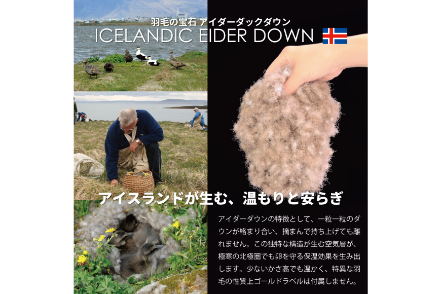 【中厚】アイダーダウン 羽毛布団 合掛け ダブル アイダーダックダウン98％ アイスランド産 100x140番手サテン 日本製 綿100％ [川村羽毛 山梨県 韮崎市 20743046] 布団 ふとん 羽毛 羽毛ふとん 寝具 合い掛け