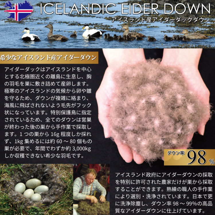 【冬用】アイダーダウン 羽毛布団 本掛け シングル アイダーダック ダウン98％ アイスランド産 ジャカードサテン 日本製 綿100％ ジャガード [川村羽毛 山梨県 韮崎市 20743073] 布団 ふとん 羽毛ふとん 寝具
