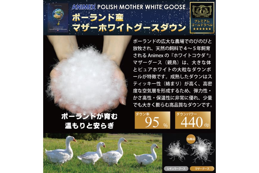 【冬用】羽毛布団 本掛け ダブル マザーグースダウン 95％ ポーランド産 1.5kg 100×140番手 サテン グランミュゼ ( 無地 アイボリー ) [川村羽毛 山梨県 韮崎市 20743648] 布団 日本製 羽毛 ダウン