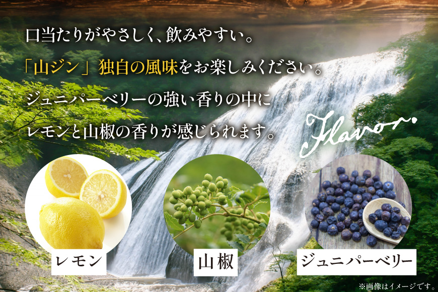 ジン 山ジン 700ml ×1本 [サン.フーズ 山梨県 韮崎市 20743785] 酒 お酒 スピリッツ ジン 蒸留酒 国産 カクテル JIN ソーダ割り