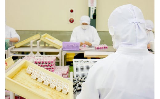 金精軒 信玄餅 お包み体験 2名様 お土産付き チケット [金精軒製菓 山梨県 韮崎市 20740963] 和菓子 わがし お菓子 おかし 体験 チケット お土産 おみやげ 山梨銘菓 ご当地 スイーツ