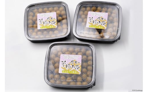 【カリカリ】信玄の薬膳小梅 150g×3 [山梨農産食品 山梨県 韮崎市 20742099] 梅干し 梅干 うめぼし 梅 小粒 小梅 カリカリ梅 国産 個包装
