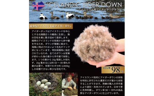 【春夏用】アイダーダウン 羽毛布団 肌掛け セミダブル アイダーダック ダウン98％ アイスランド産 ジャカードサテン 日本製 綿100％ ジャガード [川村羽毛 山梨県 韮崎市 20742571] 布団 ふとん 羽毛ふとん 寝具 肌掛 羽毛