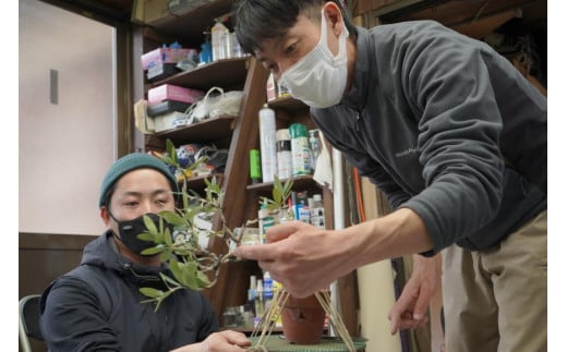 オリーブの盆栽教室 体験チケット [秋山園 山梨県 韮崎市 20742994] チケット 体験 手作り 盆栽 オリーブ 観葉植物 インテリア 癒やし 緑