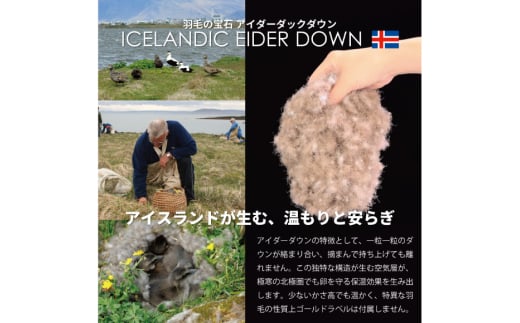 【中厚】アイダーダウン 羽毛布団 合掛け シングル アイダーダックダウン98％ アイスランド産 100x140番手サテン 日本製 綿100％ [川村羽毛 山梨県 韮崎市 20743048] 布団 ふとん 羽毛 羽毛ふとん 寝具 合い掛け